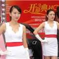 第八届上海国际汽车改博会美女车模,第6张