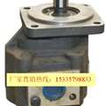 小额批发 CBd-F100高压齿轮液压油泵 微型液压油泵 缩略图
