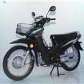 力之星(ZIP STAR)LZX110-8型两轮摩托车 小图片