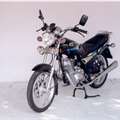 照片雄风牌XF125-9两轮摩托车