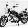 照片纵情牌ZQ150-2两轮摩托车