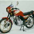 照片众星牌ZX125-7两轮摩托车