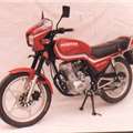照片尊隆牌ZL125-3型两轮摩托车