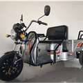 照片大安·罗纳多牌DA1500DZH-2型电动正三轮摩托车