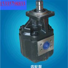 批发销售 非进口小型液压油泵 高功率HW-100液压齿轮油泵