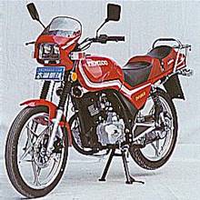 嘉隆牌JL125-B型两轮摩托车