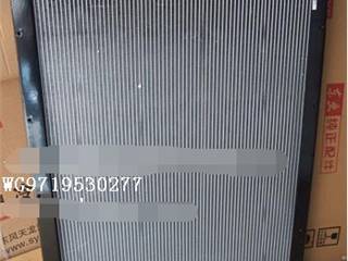 重汽斯太尔WG9112530323/重卡散热器水箱