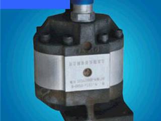 热销推荐 CBF-80键阜新液压系统油泵