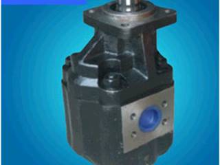 批发销售 非进口小型液压油泵 高功率HW-100液压齿轮油泵