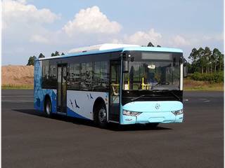 大运牌CGC6101BEV1K2型纯电动城市客车