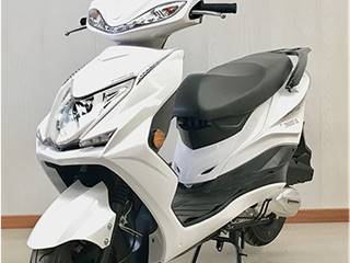 中能牌ZN50QT-2D型两轮轻便摩托车
