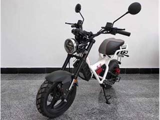 木兰牌ML1500D型电动两轮摩托车