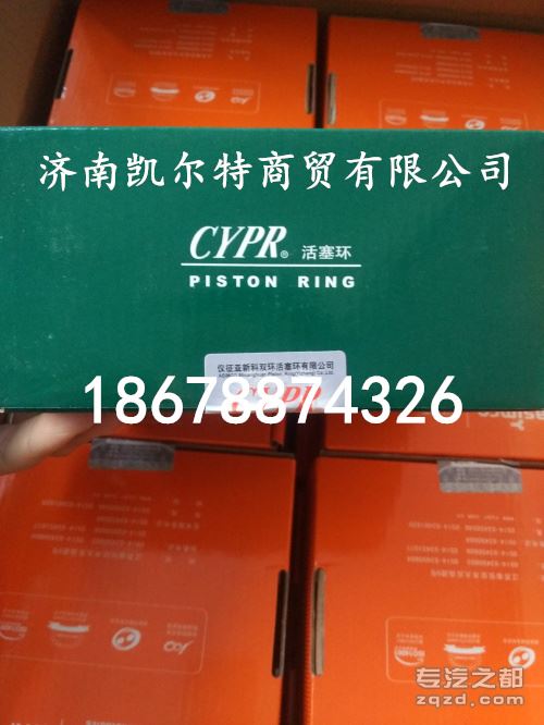 供应仪征品牌中国重汽发动机活塞环VG1560030040