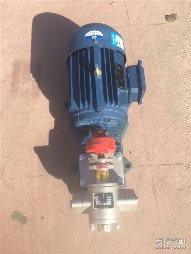 江苏泰州泰兴KCB-55不锈钢泵-油泵-卫生食品泵