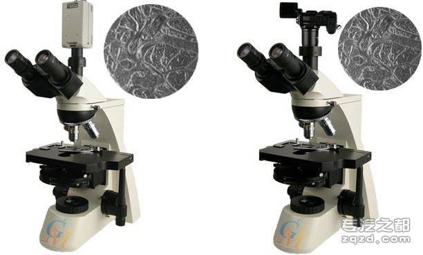 数码生物相衬显微镜 GPH-300
