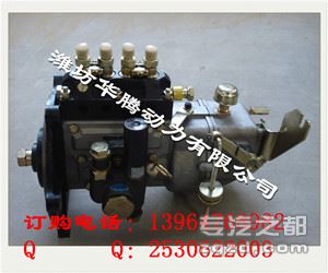 供应潍柴潍坊4100柴油机喷油泵柴油泵大泵价格
