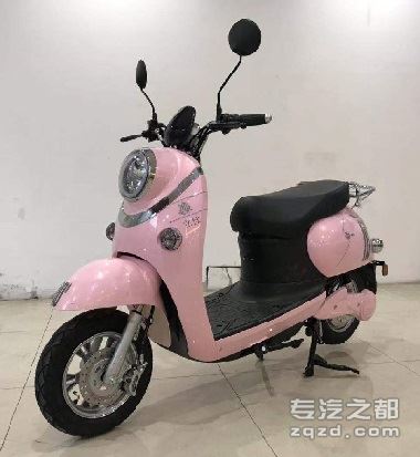 立佳牌LJ800DQT-A型电动两轮轻便摩托车-图片1