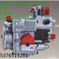 山东供应工程机械配件K3017-500KW发动机PT燃油泵总成4951361 缩略图
