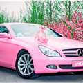 粉色系列之粉红豹去旅行 M.Benz CLS300 第3张照片