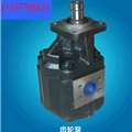 批发销售 非进口小型液压油泵 高功率HW-100液压齿轮油泵 缩略图