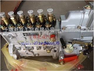供应东风康明斯 燃油喷射泵（高压油泵）C5264734