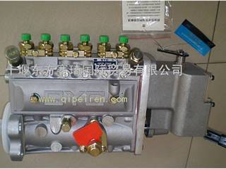 供应燃油喷射泵4988395/3900300