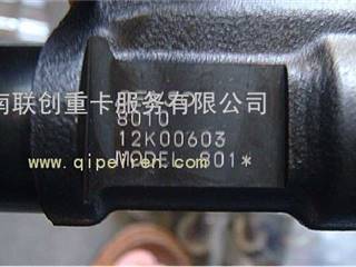 供应中国重汽D12共轨喷油器总成VG1246080051/