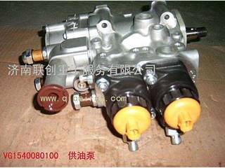 供应中国重汽进口共轨高压油泵R61540080101/