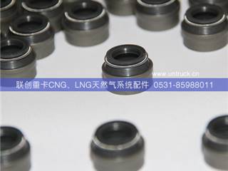 供应中国重汽天然气发动机气门阀杆密封套（双唇口）CNG