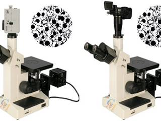 金相倒置显微镜的价格 GMM-200
