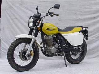 豹王牌BW250-A型两轮摩托车
