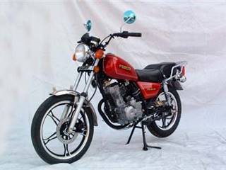 广丰(FGMCO)牌FG125-6V型两轮摩托车