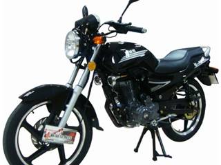 新感觉牌XGJ150-12A型两轮摩托车