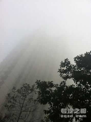 明后局地有晨雾-重庆大雾多条高速关闭